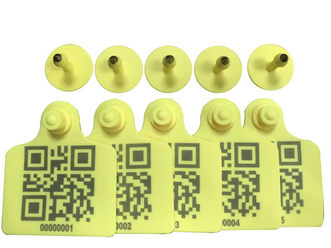 ICAR Approved Cow Ear Tag RFID UHF Custom Cattle Ear Tags With Long Reading Distance Capabilities